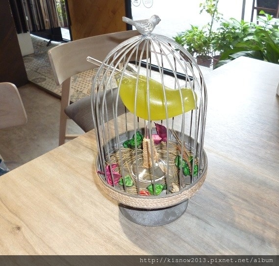 家34-籠中鳥 (2).JPG