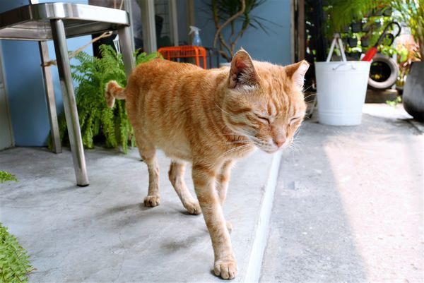 P1940934.JPG P1940934.JPG