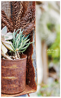 CAFFEFIORE珈琲花-8