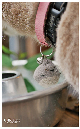 CAFFEFIORE珈琲花-14