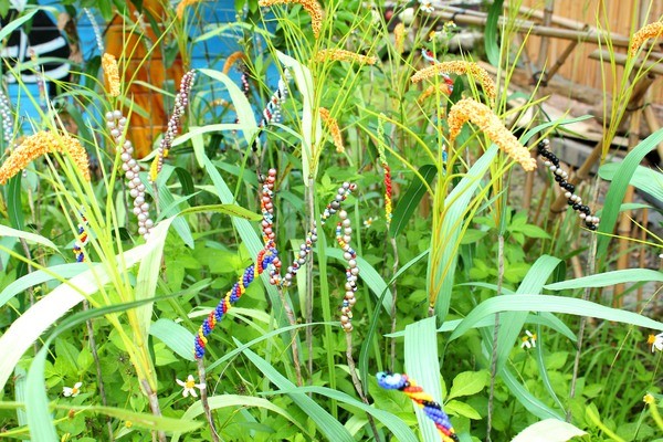 嘉義：【知性文化之旅】就要醬玩嘉義，好玩景點趴趴造