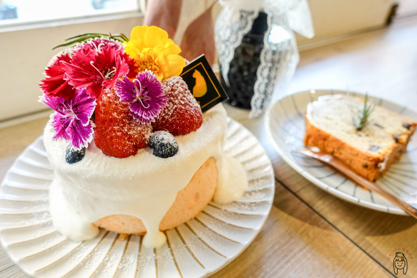 台南咖啡館 神農街肥貓咖啡，內有萌貓坐鎮，以及季節限定少女系甜點，來享受愜意的下午茶時光吧！ - 丁Dingの吃貨日常