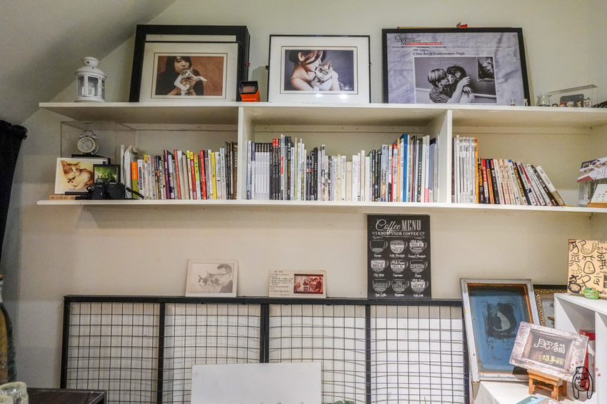 台南咖啡館 神農街肥貓咖啡，內有萌貓坐鎮，以及季節限定少女系甜點，來享受愜意的下午茶時光吧！ - 丁Dingの吃貨日常