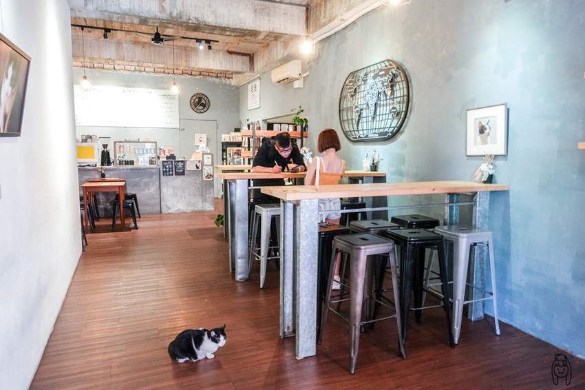 台南咖啡館 神農街肥貓咖啡，內有萌貓坐鎮，以及季節限定少女系甜點，來享受愜意的下午茶時光吧！ - 丁Dingの吃貨日常