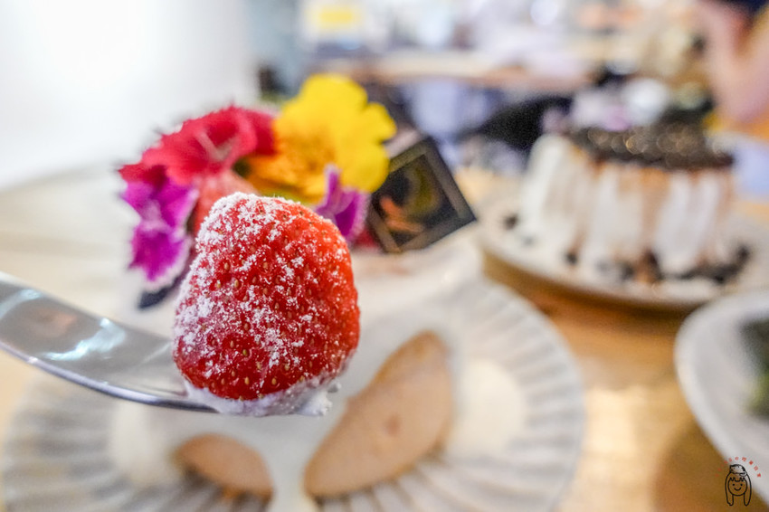 台南咖啡館 神農街肥貓咖啡，內有萌貓坐鎮，以及季節限定少女系甜點，來享受愜意的下午茶時光吧！ - 丁Dingの吃貨日常