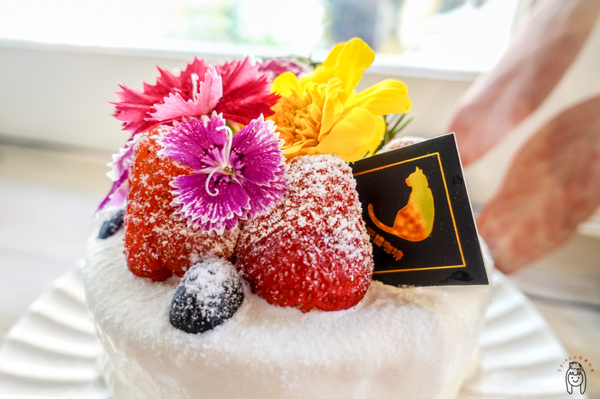 台南咖啡館 神農街肥貓咖啡，內有萌貓坐鎮，以及季節限定少女系甜點，來享受愜意的下午茶時光吧！ - 丁Dingの吃貨日常