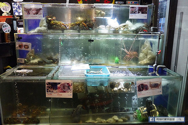 板橋蒸氣火鍋【蒸天下蒸氣火鍋】美食節目推薦尚青的活海鮮火鍋/板橋美食/新北美食