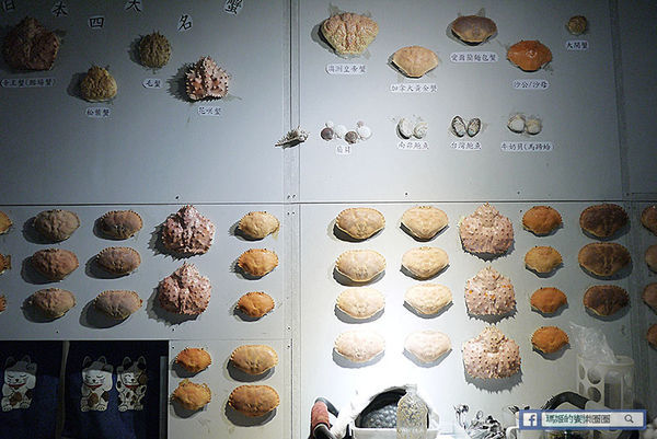 板橋蒸氣火鍋【蒸天下蒸氣火鍋】美食節目推薦尚青的活海鮮火鍋/板橋美食/新北美食