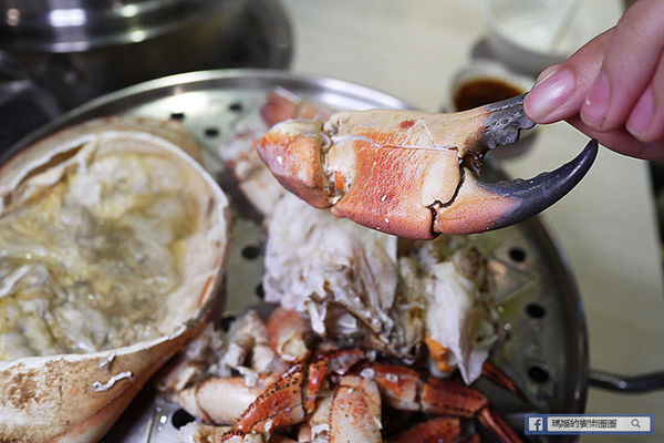 板橋蒸氣火鍋【蒸天下蒸氣火鍋】美食節目推薦尚青的活海鮮火鍋/板橋美食/新北美食