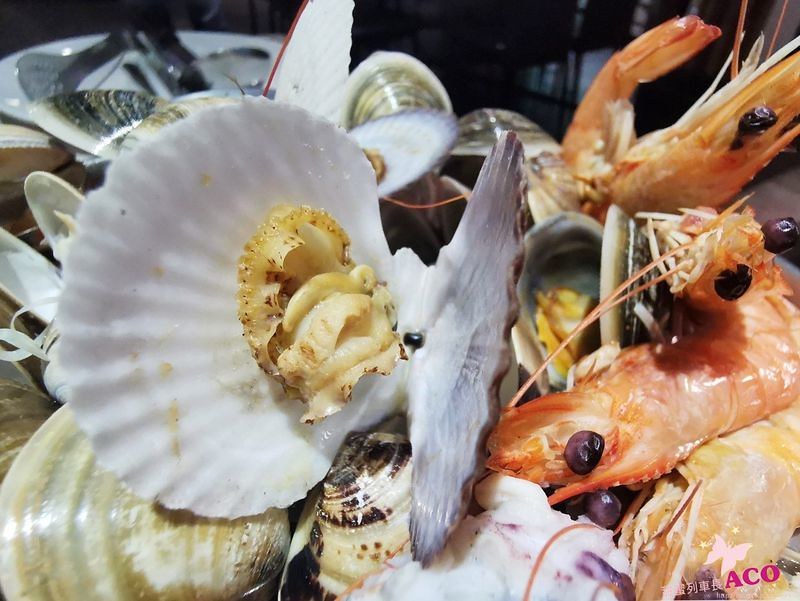 板橋蒸氣火鍋 海鮮火鍋20