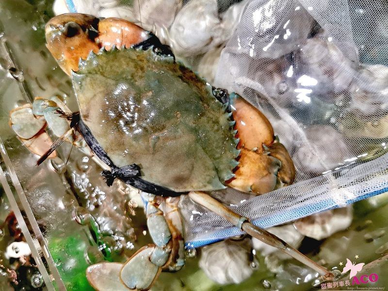 板橋蒸氣火鍋 海鮮火鍋16