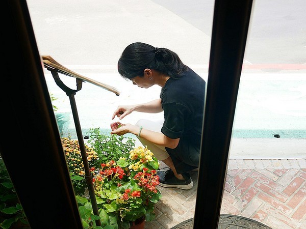 Coffee Naps 蓁澄咖啡手作坊：Coffee Naps 蓁澄咖啡手作坊-台北大安咖啡廳  環境優雅恬靜  歐式料理、手沖咖啡、手作甜點都讓人滿意  悠閒待上一下午都沒問題