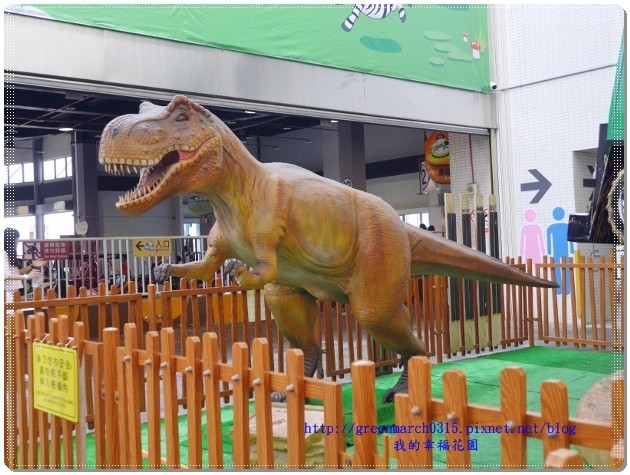 P9160403 (620x465).jpg