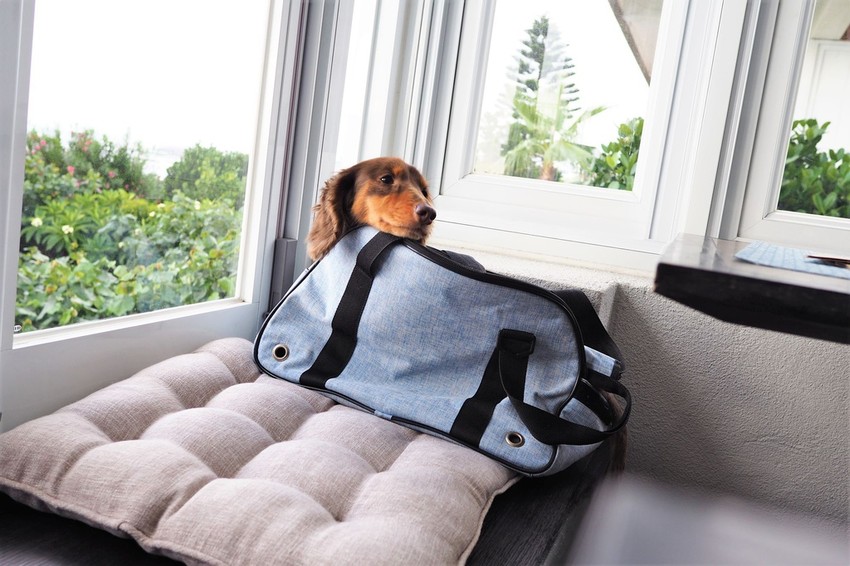 P5270204.JPG P5270204.JPG