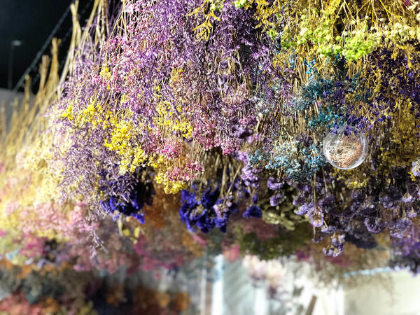 ●嘉義食記●御膳屋牛排/家樂福北門店/IG打卡熱點/視嗅味三覺饗宴