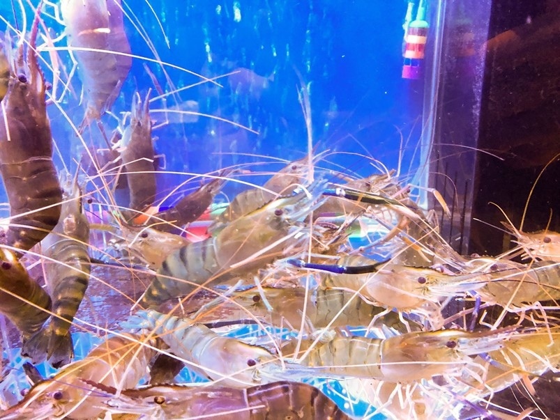 【忠孝新生】蟹宴日式頂級帝王蟹燒烤鍋物，頂級食材新鮮吃到飽！生食、火鍋、燒烤一次滿足！