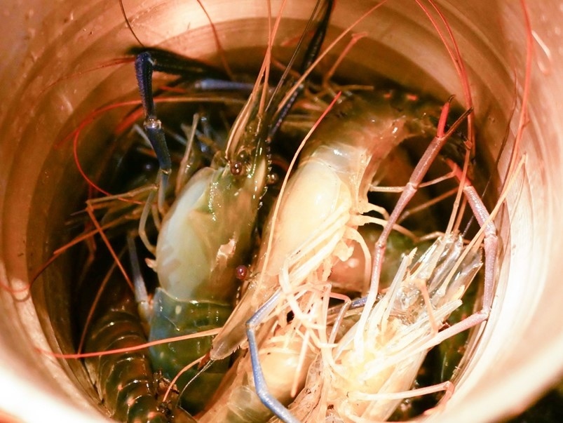 【忠孝新生】蟹宴日式頂級帝王蟹燒烤鍋物，頂級食材新鮮吃到飽！生食、火鍋、燒烤一次滿足！