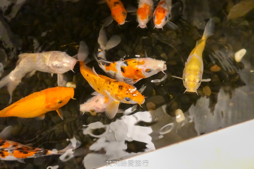 士林天母美食》拓樸本然 自然手作美味早午餐 網美打卡超好拍咖啡廳 - 艾莉絲愛旅行