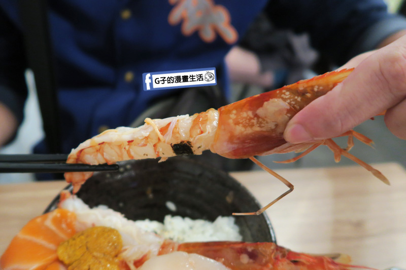 20190917永和千幸壽司.永和日本料理.永和日式料理.生魚片丼飯.天使紅蝦丼飯