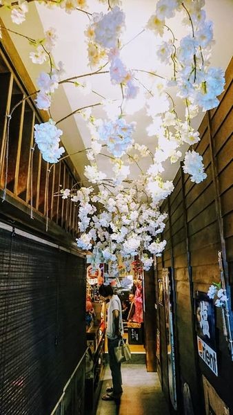 40562581_2039076382790707_4071909891764125696_n