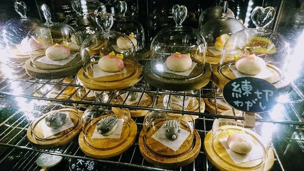 38204182_1987460594618953_3609770766469431296_n