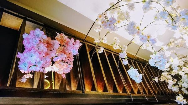 40533140_2039076599457352_298588097807908864_n