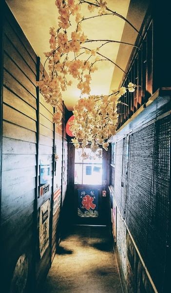 40547566_2039076459457366_9169851156594163712_n