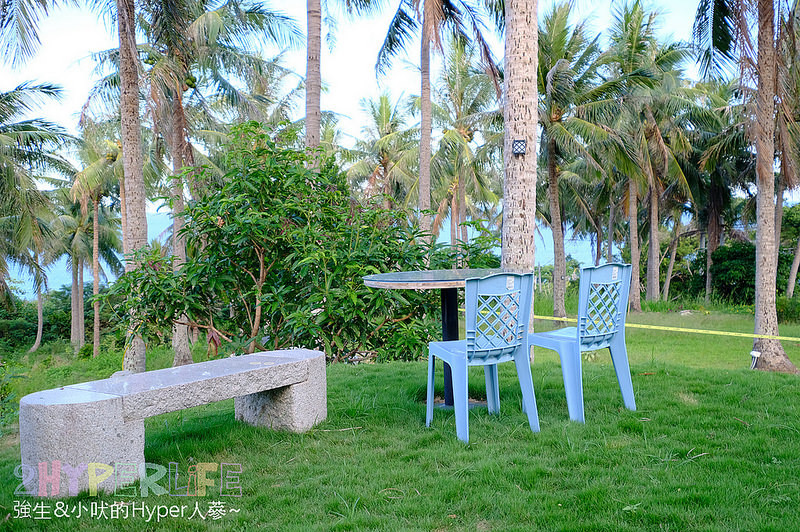  @強生與小吠的Hyper人蔘~