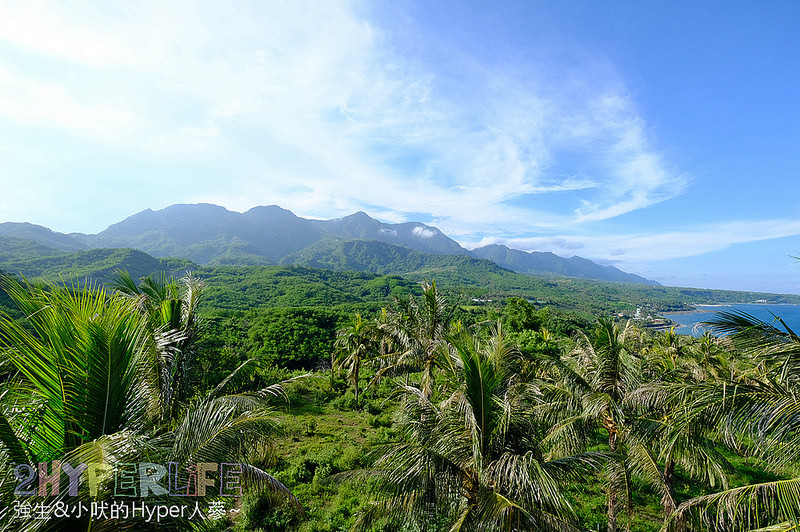  @強生與小吠的Hyper人蔘~