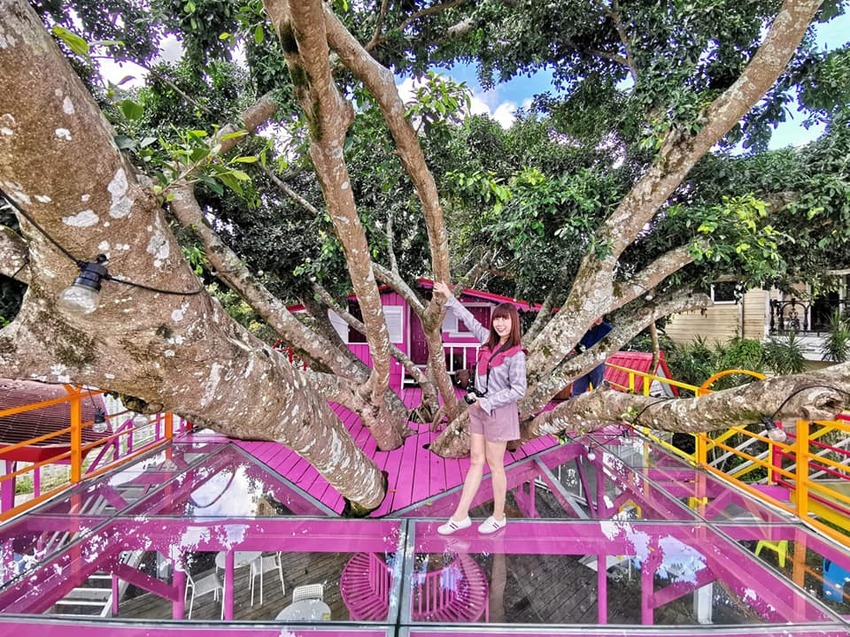 [宜蘭美食] 馬桂爺爺 咖哩專賣店 親民價每日限量 桂花香與老宅交織的緩慢歲月 - 安妮的天空