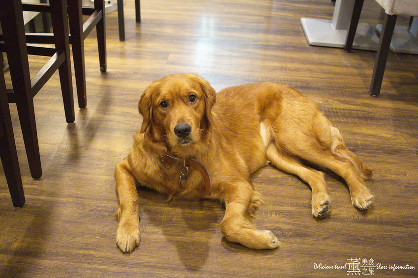 容燒居酒屋-薰的美食之旅