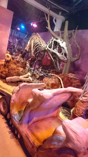 侏儸紀X恐龍樂園(高雄場):高雄駁二~侏儸紀X恐龍樂園~紅色警報!!恐龍真的來了~乘坐恐龍骨頭車前往失落的世界~展期6/30-9/02