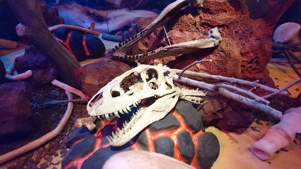 侏儸紀X恐龍樂園(高雄場):高雄駁二~侏儸紀X恐龍樂園~紅色警報!!恐龍真的來了~乘坐恐龍骨頭車前往失落的世界~展期6/30-9/02