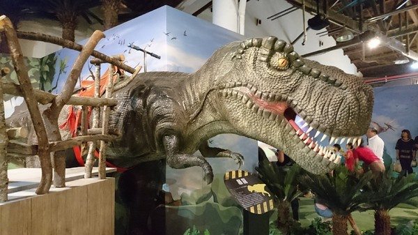 侏儸紀X恐龍樂園(高雄場):高雄駁二~侏儸紀X恐龍樂園~紅色警報!!恐龍真的來了~乘坐恐龍骨頭車前往失落的世界~展期6/30-9/02