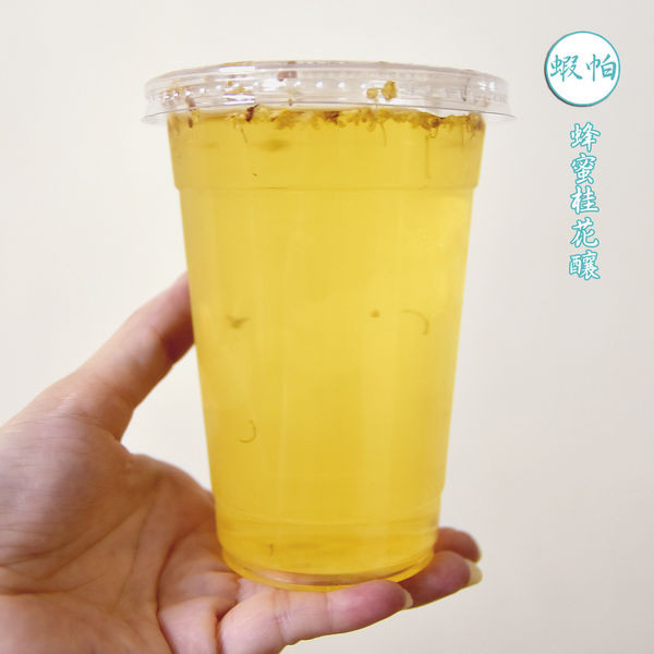 11DSC_8567.jpg 11DSC_8567.jpg