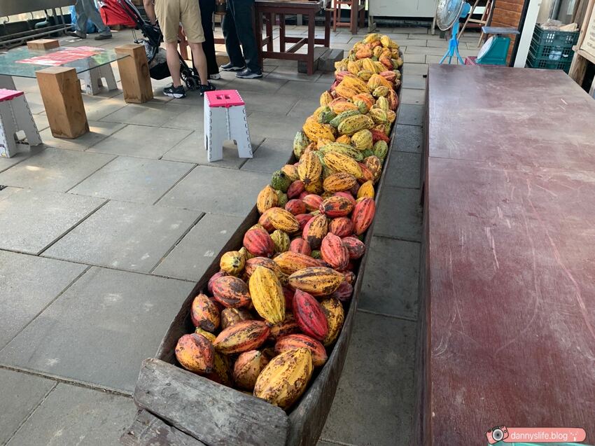 阿信巧克力農場 │屏東景點•寵物友善•喝可可茶餵梅花鹿 - 丹尼的吃喝玩樂