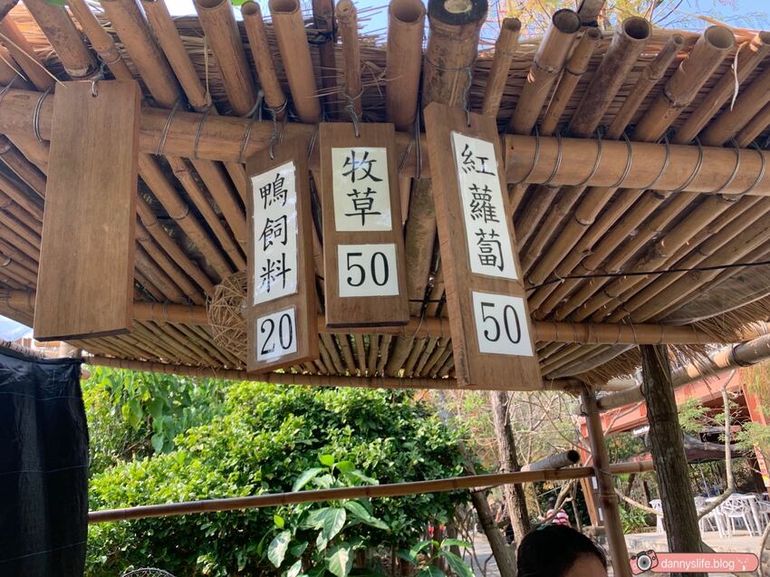 阿信巧克力農場 │屏東景點•寵物友善•喝可可茶餵梅花鹿 - 丹尼的吃喝玩樂