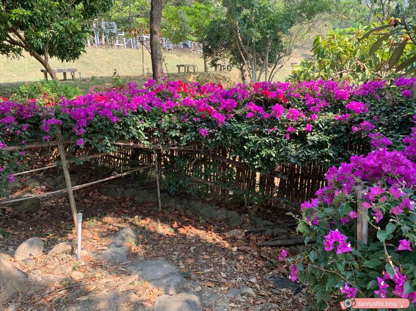 阿信巧克力農場 │屏東景點•寵物友善•喝可可茶餵梅花鹿 - 丹尼的吃喝玩樂