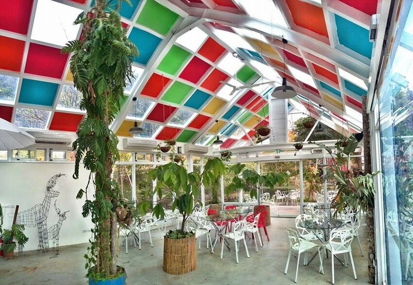 阿信巧克力農場 │屏東景點•寵物友善•喝可可茶餵梅花鹿 - 丹尼的吃喝玩樂