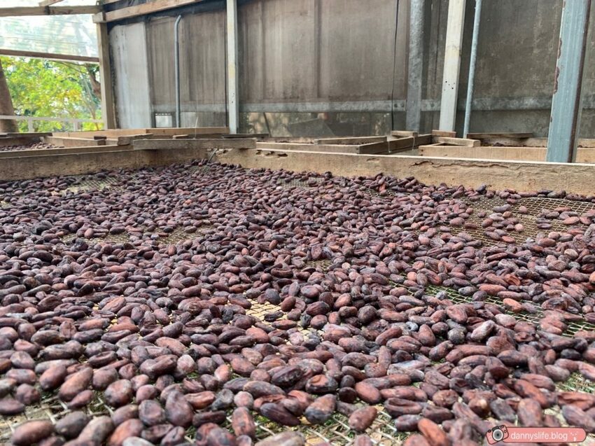 阿信巧克力農場 │屏東景點•寵物友善•喝可可茶餵梅花鹿 - 丹尼的吃喝玩樂