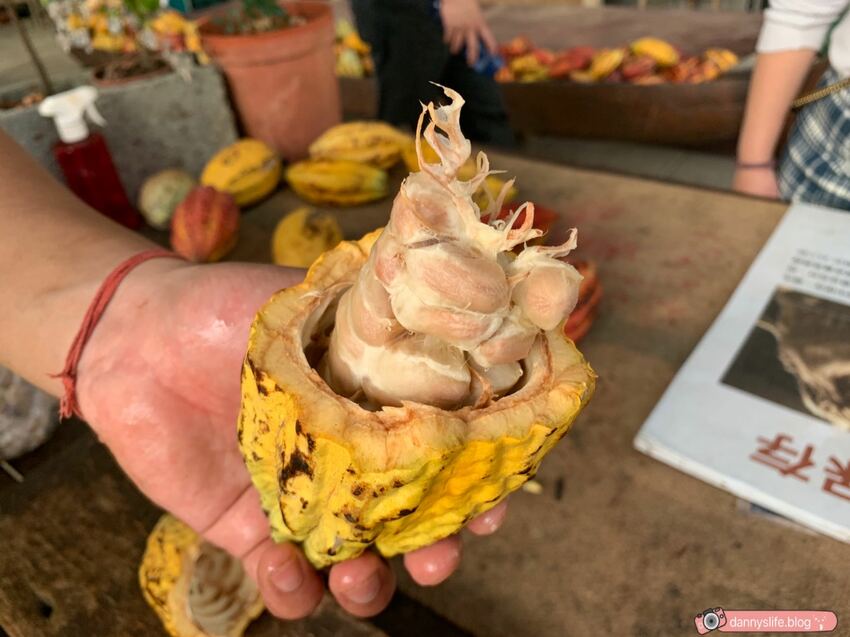 阿信巧克力農場 │屏東景點•寵物友善•喝可可茶餵梅花鹿 - 丹尼的吃喝玩樂