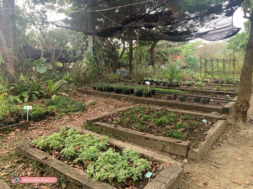 阿信巧克力農場 │屏東景點•寵物友善•喝可可茶餵梅花鹿 - 丹尼的吃喝玩樂