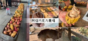 阿信巧克力農場 │屏東景點•寵物友善•喝可可茶餵梅花鹿 - 丹尼的吃喝玩樂