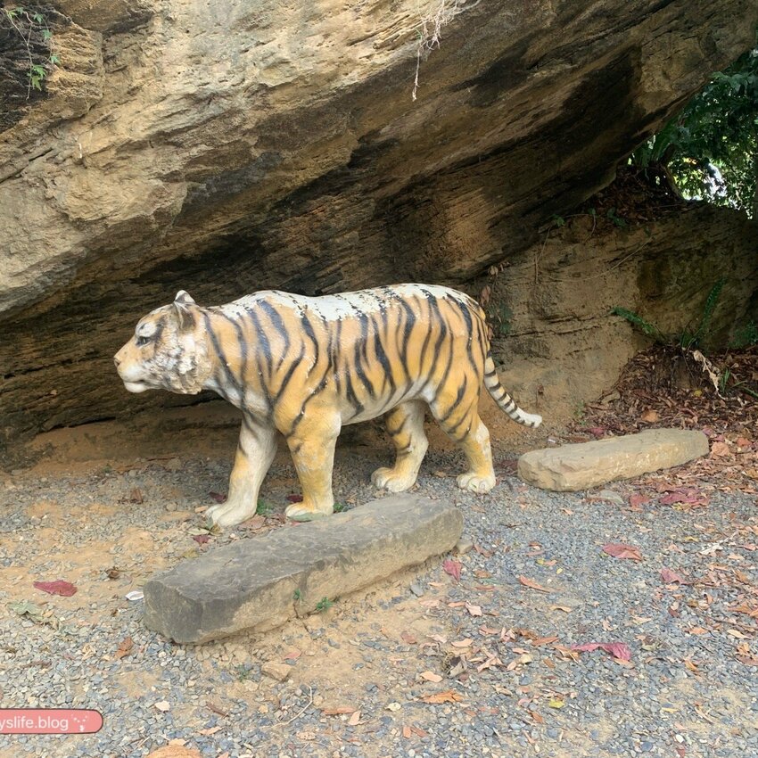 阿信巧克力農場 │屏東景點•寵物友善•喝可可茶餵梅花鹿 - 丹尼的吃喝玩樂