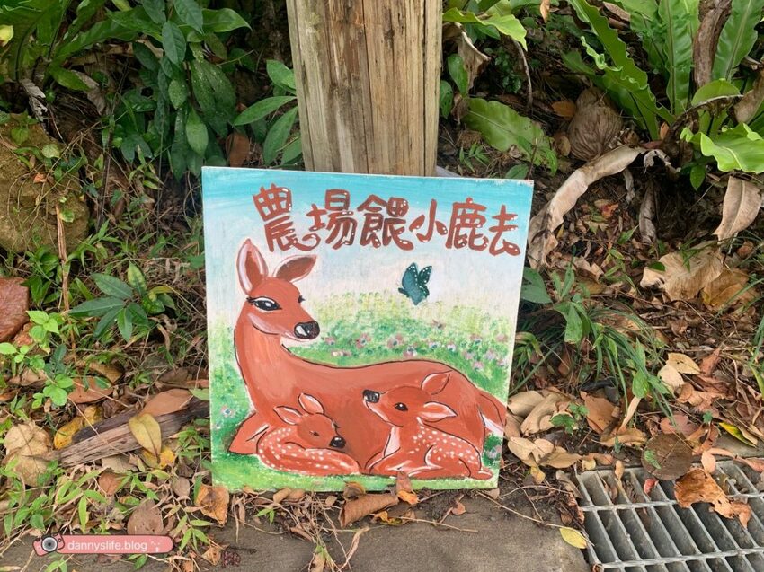 阿信巧克力農場 │屏東景點•寵物友善•喝可可茶餵梅花鹿 - 丹尼的吃喝玩樂