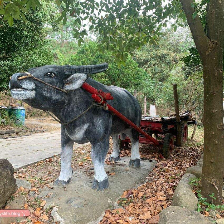 阿信巧克力農場 │屏東景點•寵物友善•喝可可茶餵梅花鹿 - 丹尼的吃喝玩樂