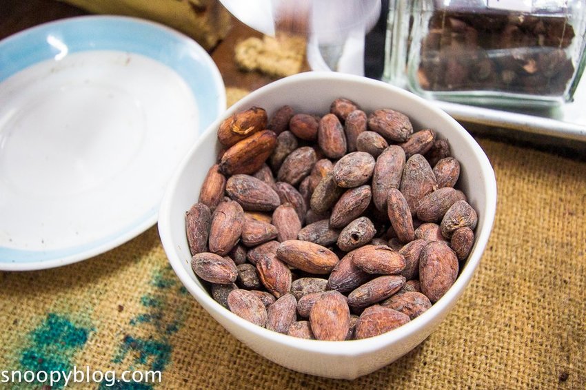 【屏東景點】墾丁親子景點|阿信巧克力農場~巧克力生態DIY、夜探梅花鹿,餵小鹿喝奶,好玩有趣的親子生態體驗