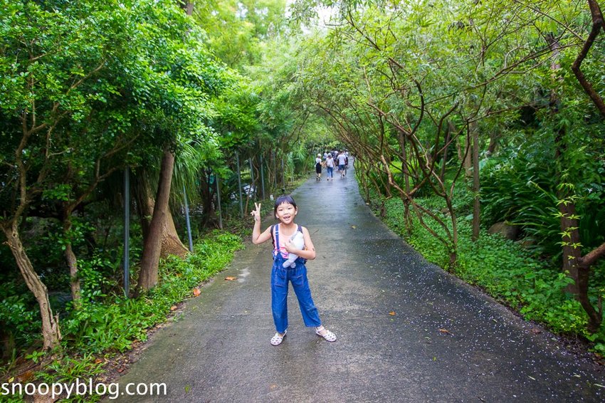 【屏東景點】墾丁親子景點|阿信巧克力農場~巧克力生態DIY、夜探梅花鹿,餵小鹿喝奶,好玩有趣的親子生態體驗