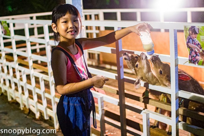 【屏東景點】墾丁親子景點|阿信巧克力農場~巧克力生態DIY、夜探梅花鹿,餵小鹿喝奶,好玩有趣的親子生態體驗
