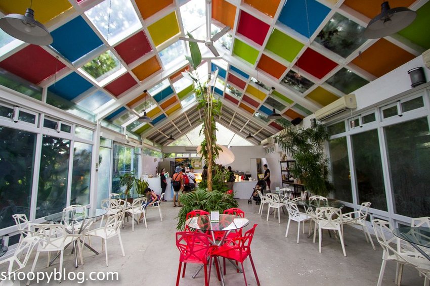 【屏東景點】墾丁親子景點|阿信巧克力農場~巧克力生態DIY、夜探梅花鹿,餵小鹿喝奶,好玩有趣的親子生態體驗